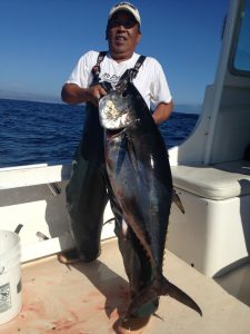 Fish On Sportfishing – We go where the fish are!